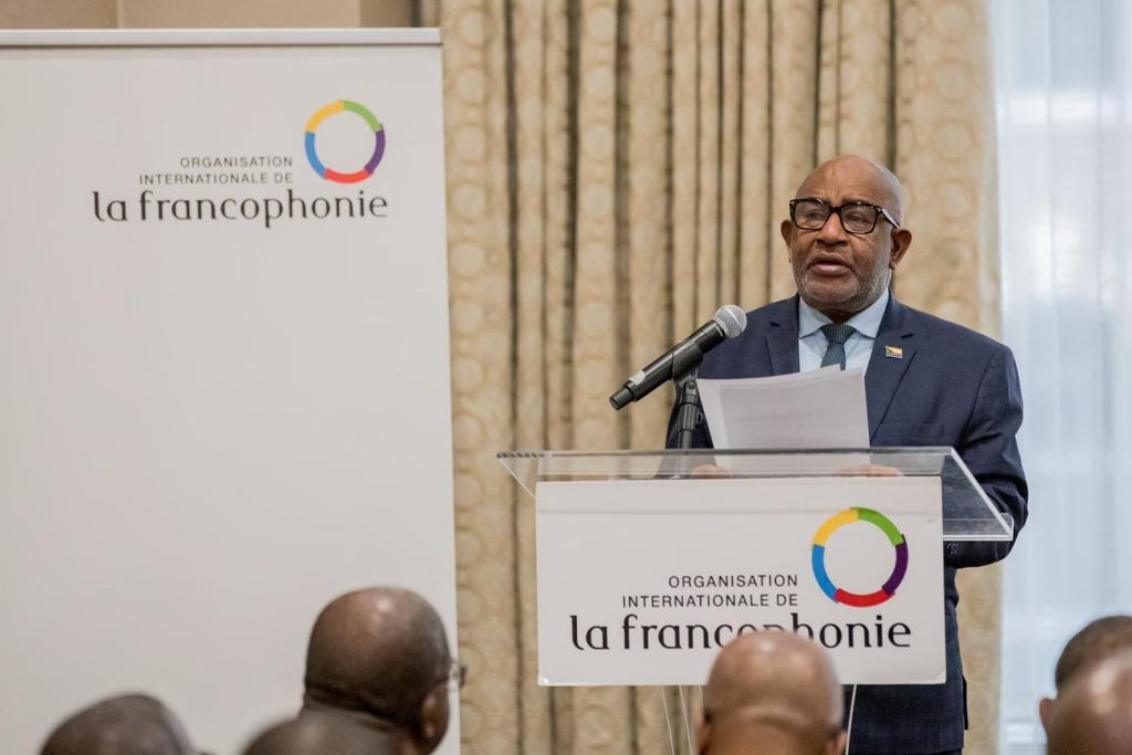 image Azali à New York : 	 La solidarité francophone des ODD mis en avant
